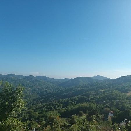 Appartamento La Pineta It010-058C20-Tj54093 Serra Rocco Eksteriør bilde