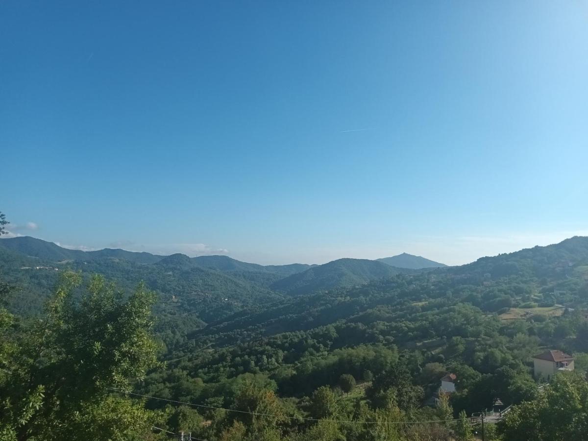 Appartamento La Pineta It010-058C20-Tj54093 Serra Rocco Eksteriør bilde