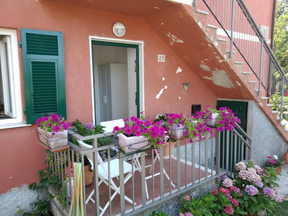 Appartamento La Pineta It010-058C20-Tj54093 Serra Rocco Eksteriør bilde